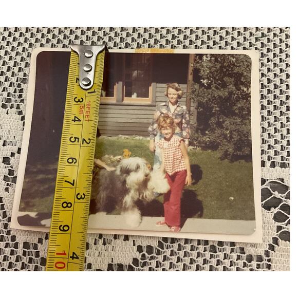 1976 Sheep Dog Christmas Family Photo - Picture 5 of 6